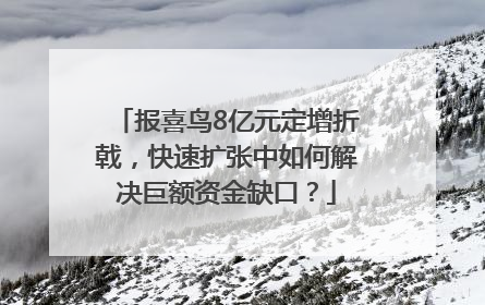 报喜鸟8亿元定增折戟，快速扩张中如何解决巨额资金缺口？