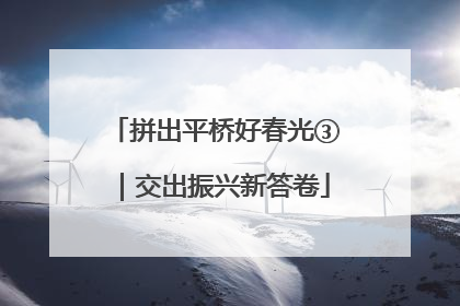 拼出平桥好春光③｜交出振兴新答卷