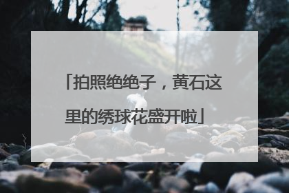 拍照绝绝子，黄石这里的绣球花盛开啦