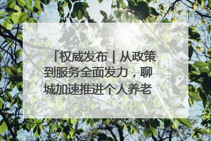 权威发布｜从政策到服务全面发力，聊城加速推进个人养老金制度落地