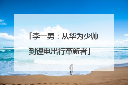 李一男：从华为少帅到锂电出行革新者