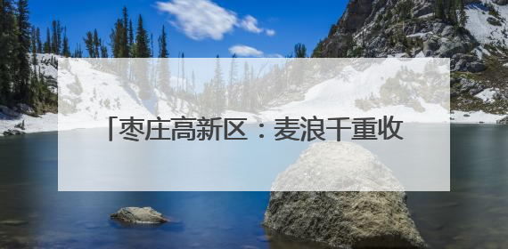 枣庄高新区：麦浪千重收割忙 多措并举保丰收