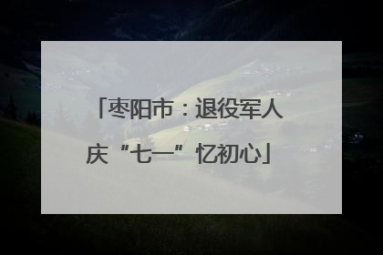 枣阳市：退役军人庆“七一”忆初心