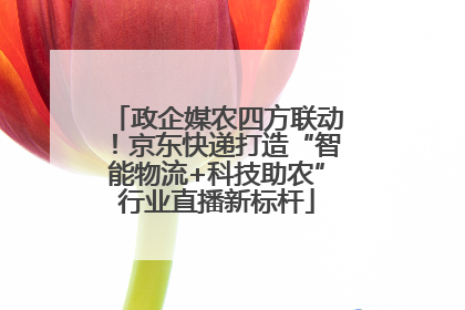 政企媒农四方联动！京东快递打造“智能物流+科技助农”行业直播新标杆