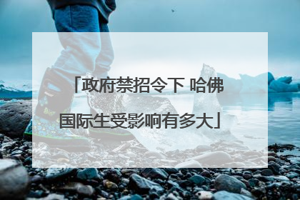 政府禁招令下 哈佛国际生受影响有多大