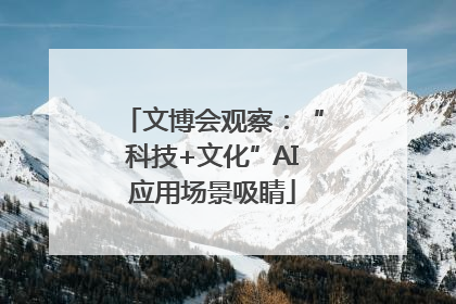 文博会观察：“科技+文化”AI应用场景吸睛