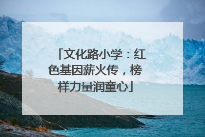 文化路小学：红色基因薪火传，榜样力量润童心