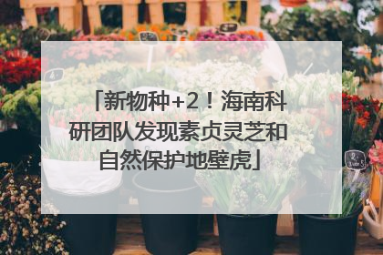 新物种+2！海南科研团队发现素贞灵芝和自然保护地壁虎