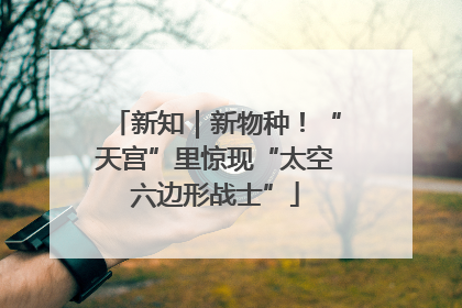 新知｜新物种！“天宫”里惊现“太空六边形战士”