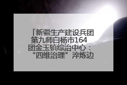 新疆生产建设兵团第九师白杨市164团金玉镇综治中心：“四维治理”淬炼边疆“枫桥样本”