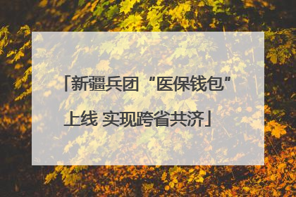 新疆兵团“医保钱包”上线 实现跨省共济