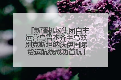 新疆机场集团自主运营乌鲁木齐至乌兹别克斯坦纳沃伊国际货运航线成功首航