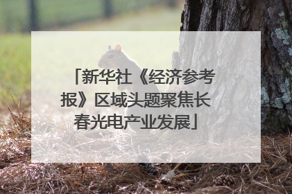 新华社《经济参考报》区域头题聚焦长春光电产业发展