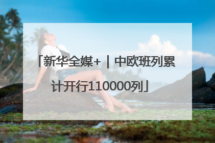 新华全媒+｜中欧班列累计开行110000列