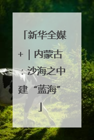 新华全媒+｜内蒙古：沙海之中建“蓝海”