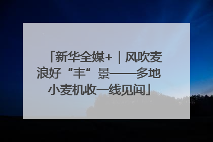 新华全媒+｜风吹麦浪好“丰”景——多地小麦机收一线见闻