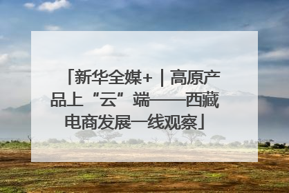 新华全媒+｜高原产品上“云”端——西藏电商发展一线观察