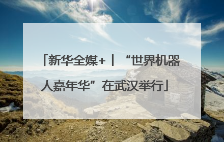 新华全媒+丨“世界机器人嘉年华”在武汉举行