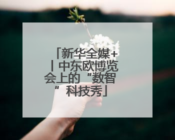 新华全媒+丨中东欧博览会上的“数智”科技秀