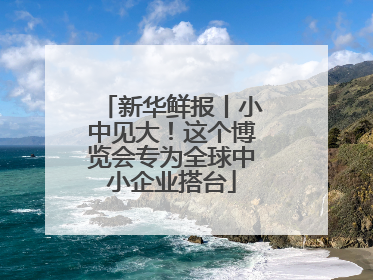 新华鲜报丨小中见大！这个博览会专为全球中小企业搭台