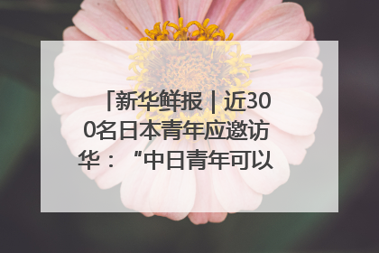 新华鲜报｜近300名日本青年应邀访华：“中日青年可以创造更好的未来”