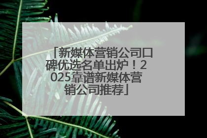 新媒体营销公司口碑优选名单出炉！2025靠谱新媒体营销公司推荐