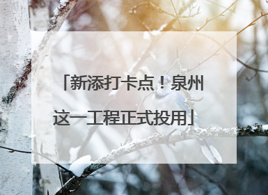 新添打卡点！泉州这一工程正式投用
