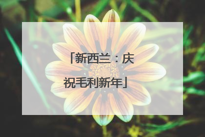 新西兰：庆祝毛利新年