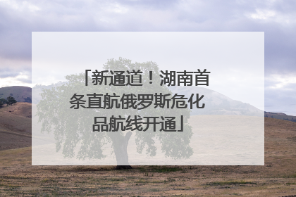新通道！湖南首条直航俄罗斯危化品航线开通