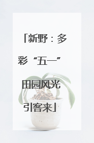 新野：多彩“五一” 田园风光引客来