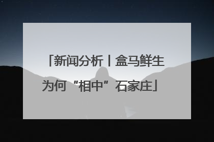 新闻分析丨盒马鲜生为何“相中”石家庄
