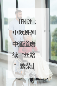 时评：中欧班列中通道赓续“丝路”繁荣