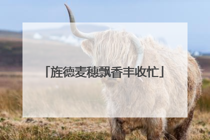 旌德麦穗飘香丰收忙