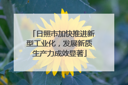日照市加快推进新型工业化，发展新质生产力成效显著