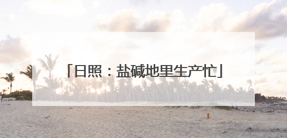日照：盐碱地里生产忙