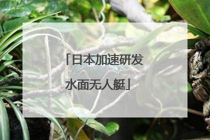 日本加速研发水面无人艇
