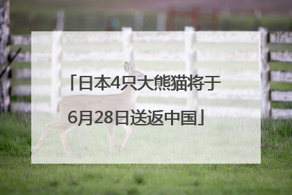 日本4只大熊猫将于6月28日送返中国