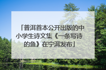 普洱首本公开出版的中小学生诗文集《一条写诗的鱼》在宁洱发布