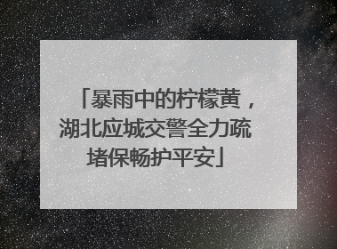 暴雨中的柠檬黄，湖北应城交警全力疏堵保畅护平安