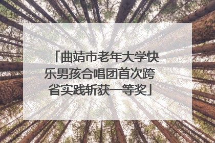 曲靖市老年大学快乐男孩合唱团首次跨省实践斩获一等奖