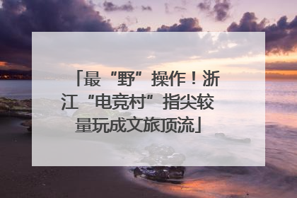 最“野”操作！浙江“电竞村”指尖较量玩成文旅顶流