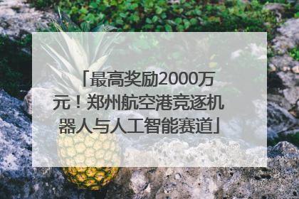 最高奖励2000万元!郑州航空港竞逐机器人与人工智能赛道