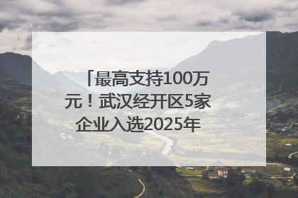 最高支持100万元！武汉经开区5家企业入选2025年度武汉市重点研发计划拟立项项目名单