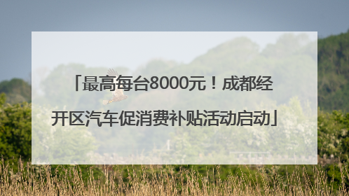 最高每台8000元！成都经开区汽车促消费补贴活动启动