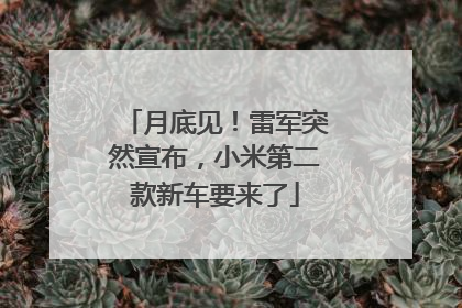 月底见！雷军突然宣布，小米第二款新车要来了