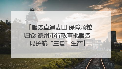 服务直通麦田 保障颗粒归仓 德州市行政审批服务局护航“三夏”生产