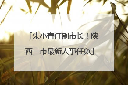 朱小青任副市长！陕西一市最新人事任免