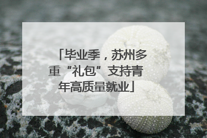 毕业季，苏州多重“礼包”支持青年高质量就业