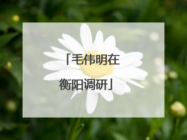 毛伟明在衡阳调研