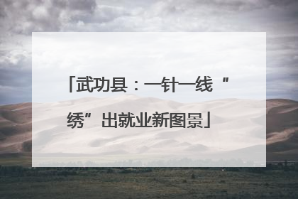 武功县：一针一线“绣”出就业新图景